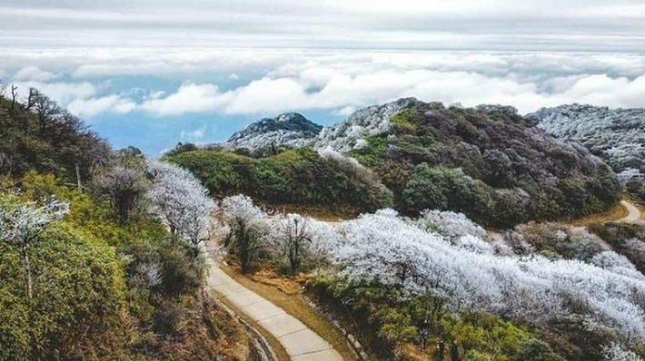 Ngoài ngắm tuyết ở Sapa, du khách có thể được chiêm ngưỡng những phong cảnh tuyệt đẹp như các ngôi nhà nhỏ nằm nép mình bên những thửa ruộng lúa hình bậc thang trắng xóa. Nó đã tạo nên một bức tranh vô vùng tuyệt đẹp, ấn tượng.