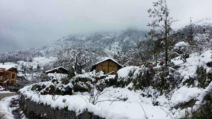 Sapa không chỉ có phong cảnh độc đáo, hút hồn du khách ghé thăm mà con người nơi đây cũng thật thà, chất phác, thân thiện và món ăn mang bản sắc riêng biệt chỉ có ở núi rừng Tây Bắc.