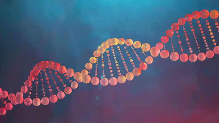 2. DNA không hề quan trọng: DNA được phát hiện vào năm 1869 nhưng trong suốt một thời gian dài trước đó, vai trò của DNA đã bị các nhà khoa học bỏ quên.