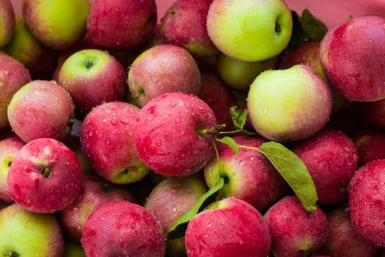 Táo chứa quercetin,chất chống oxy hóa flavonoid và thuốc kháng histamine tự nhiên. Theo nghiên cứu, những người ăn táo hàng ngày trong vòng 30 năm có thể ngăn ngừa được rất nhiều bệnh mãn tính liên quan tới tuổi già, bao gồm cả bệnh loãng xương, bệnh tim, ung thư, đột quỵ, và tiểu đường type 2.