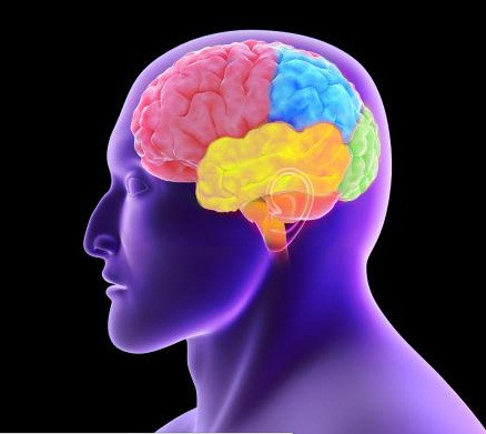 Sa sút trí tuệ trán-thái dương là rối loạn hiếm gặp do tế bào não ở thùy trán thái dương bị tổn thương gây ra. Tuy không ảnh hưởng tới trí nhớ nhưng nó có ảnh hưởng đến tính cách cá nhân, làm suy giảm kỹ năng giao tiếp xã hội, thường gặp ở nhóm người trên 65.