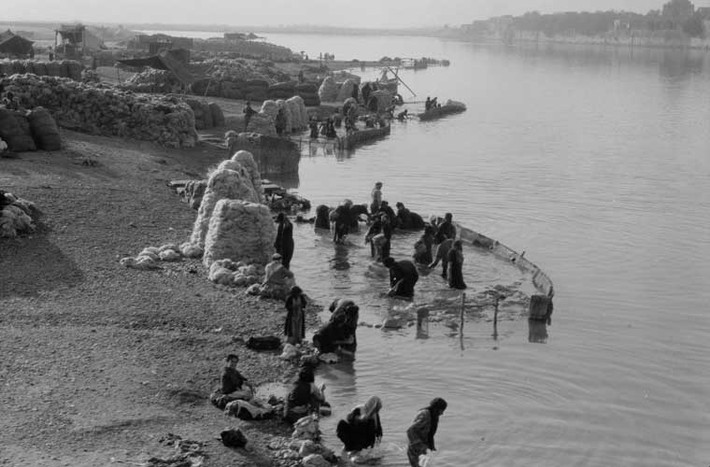 Người dân rửa sợi len ở bên bờ sông Tigris, Mosul.