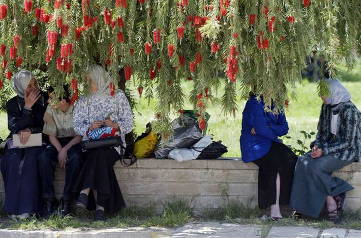 Sinh viên đại học Mosul ngồi nghỉ dưới tán cây.