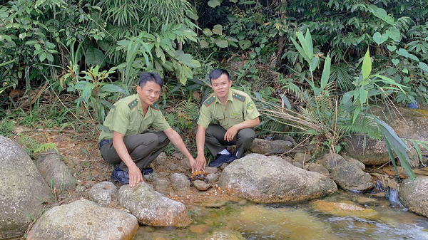 Ngày 16/6, Hạt Kiểm lâm huyện Lục Nam đã nhận được một cá thể rùa sa nhân từ gia đình cháu Nguyễn Trung Kiên (SN 2007) ở thôn Chiền, xã Đan Hội mang đến bàn giao.