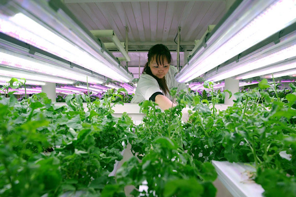 Những người làm việc tại khu mỏ sống trong khu nhà ở đầy tiện nghi trị giá 40 triệu USD.