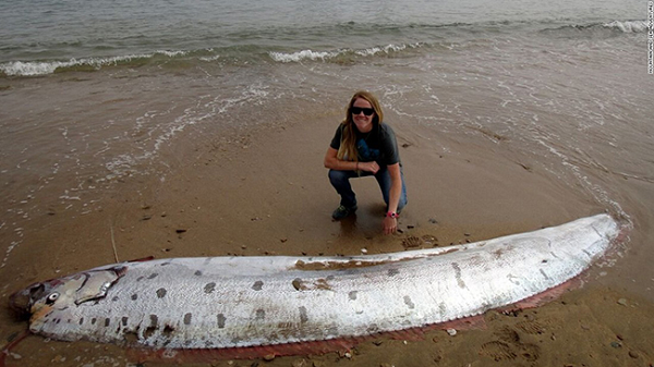 Cá Oarfish không có vây, nhưng khoác chiếc áo màu bạc có chứa chất hóa học guanine - loại chất có nhiều trong vây của một số loài cá. Mặc dù chúng thích nghi để tồn tại dưới áp lực cao nhưng phần da cá Oarfish rất mềm mại và dễ bị tổn thương.