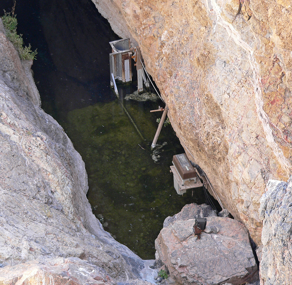 Cá Devils hole pupfish và hố nước này có thể đã xuất hiện cùng một lúc. Những phát hiện mới đã xác nhận sự hiếm có mang tính biểu tượng của loài cá đã sống trong sự cô lập hoàn toàn suốt 60.000 năm qua.