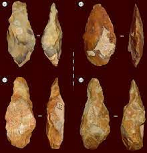 Homo erectus hoặc Homo heidelbergensis là hững loài thuộc nhóm cổ nhất của chi người, với dáng đứng thẳng và cơ thể rất giống chúng ta nhưng khuôn mặt còn mang nhiều nét của vượn.