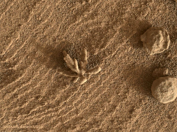 Tuy nhiên, phía NASA cho biết đó không phải bằng chứng về nền văn minh của người Sao Hỏa. Nó có thể được tạo ra từ chất giống xi măng, từng lấp đầy các vết nứt cổ xưa của lớp đá làm nền móng cho vỏ hành tinh.