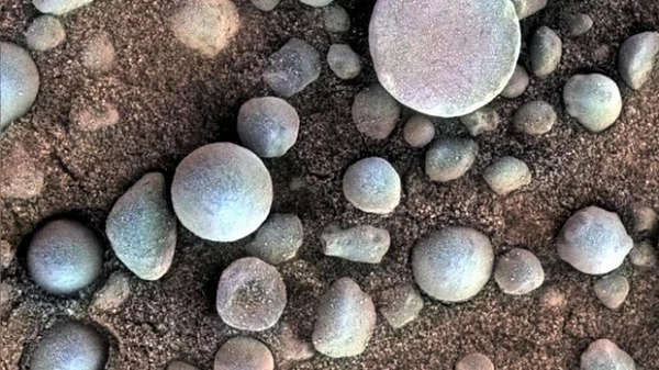 Các nhà khoa học NASA nhìn thấy các "đối tượng tròn kỳ lạ", thứ mà họ gọi là 'spherules', trông như những quả việt quất. Chúng có kích thước khác nhau, đường kính từ 100 micromet đến 602 mm.