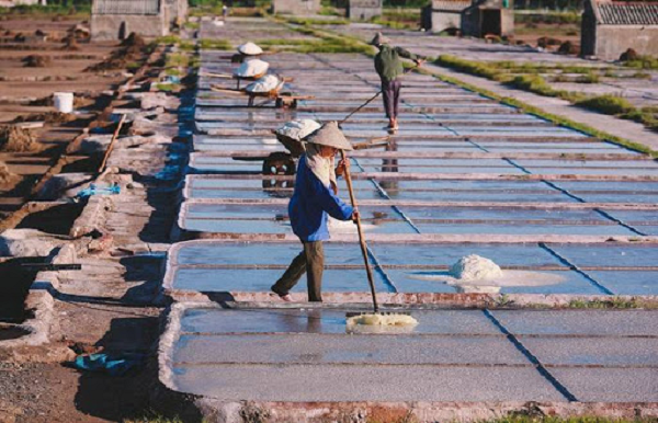 Mặc dù hàm lượng natri ở muối biển nhạt đã giảm so với trước nhưng việc sử dụng muối nhạt cũng giống như muối ăn bình thường chúng ta chỉ nên tiêu thụ trong khoảng cho phép.