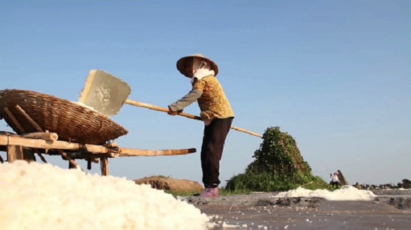 Đặc biệt muối phòng chống các bệnh cúm, cảm, dị ứng, say nắng rất hiệu quả, là chất giải nhiệt khá lý tưởng khi cần bù nước điện giải, chống mất nước. Sử dụng muối nhạt các bạn hoàn toàn yên tâm về sự cân bằng tỷ lệ giữa các khoáng chất trong cơ thể.