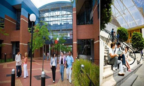 Mặc dù là một trong những trường tốt nhất thế giới, sinh viên tại Swinburne không chỉ biết đến học tập và nghiên cứu. Trường có rất nhiều câu lạc bộ thể thao, văn hóa để sinh viên có thể giao lưu, phát triển các kỹ năng mềm, chia sẻ các trải nghiệm về cuộc sống.