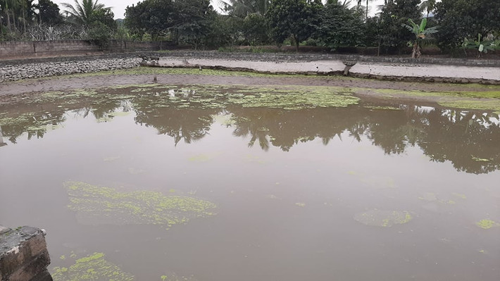 Trước đó, theo báo cáo của UBND huyện Thủy Nguyên, ngày 9/2, gia đình ông Đào Văn Đến tại thôn 11, xã Lại Xuân, huyện Thủy Nguyên đã phát hiện được 13 cọc gỗ dưới đáy ao sau khi tiến hành bơm nước để thu hoạch cá.