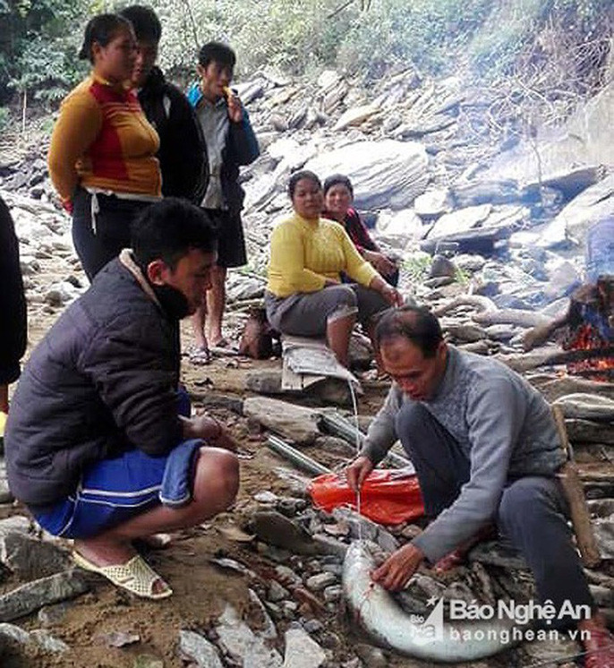 Gần đây, nhiều con cá lệnh khủng đã sa lưới ngư dân Nghệ An. Mới đây nhất, vào chiều 13/12, trong lúc đang cùng nhiều người dân khác trong xã đi bắt cá do thủy điện Xoóng Con ngăn dòng tích nước, anh Vi Văn Thìn và một nhóm bạn ở cùng bản đã bắt được con cá lệch nặng hơn 12 kg, dài hơn 1,8 m. Sau khi nghe tin anh Thìn và nhóm bạn bắt được cá lệch khủng, nhiều người dân tò mò kéo đến xem. Được biết, có người hỏi mua với giá 8,4 triệu đồng, anh Thìn và nhóm bạn đã đồng ý bán.