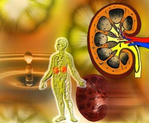 Bạn có thể sống một cuộc sống hoàn toàn bình thường dù thận chỉ làm việc với 20% chức năng của nó. Đó chính là lý do tại sao sự suy giảm chức năng gây thiệt hại cho thận thường diễn ra chậm và khó phát hiện trong một thời gian dài.