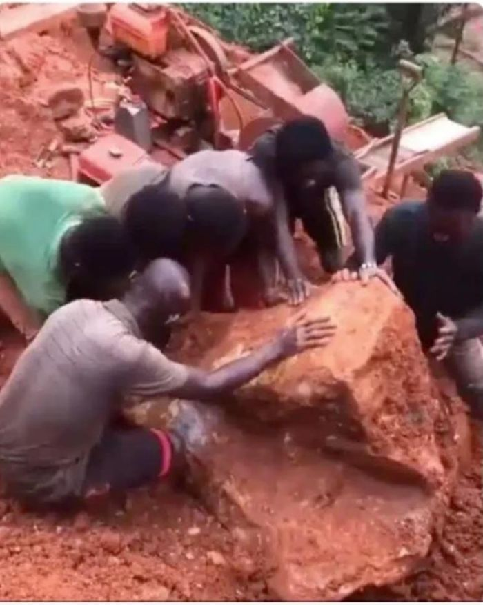 Sau khi gạt bỏ bùn đất từ tảng đá, họ phát hiện nó có ánh vàng, nên họ nghĩ rằng đó có thể là một khối vàng khổng lồ.