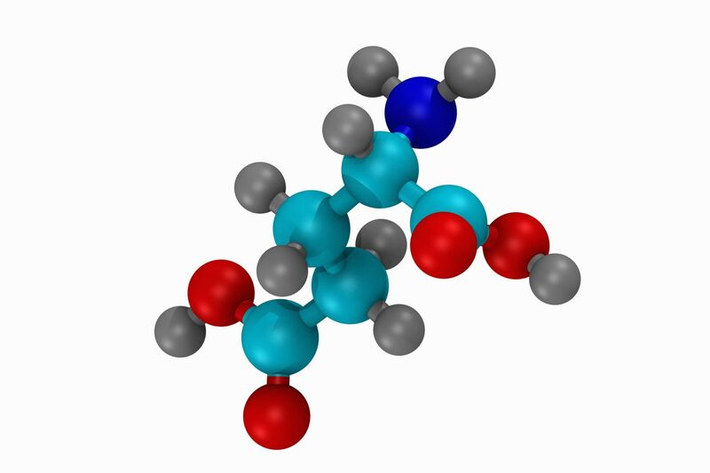 Các axit amin là các hợp chất hữu cơ quan trọng trong việc xây dựng các protein và là cơ sở cho sự sống. Các axit amin cũng được tìm thấy trong các vi khuẩn và các loài thực vật.