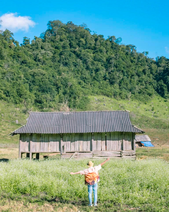 Hoa cải trắng không kiêu sa như hoa đào, chẳng rực rỡ như đóa dã quỳ khoe sắc trong nắng nhưng chúng lại khiến nhiều người mê mẩn bởi nét bình dị, mộc mạc. Ảnh: Bùi Ngọc Công