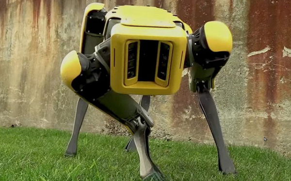 Chó robot cũng có thể di chuyển theo một lộ trình được thiết lập từ trước. Và tất nhiên với cấu tạo linh hoạt của mình, chúng có thể chạy nhảy, chơi đùa, lăn lộn, trườn bò, biết tự đứng dậy nếu ngã. Vận tốc tối đa của Spot là 3 MPH (khoảng 5 km/h).