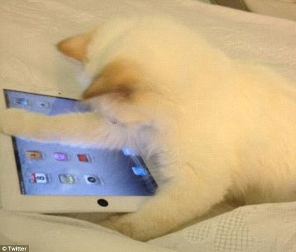 Còn được sắm ipad riêng để sử dụng.