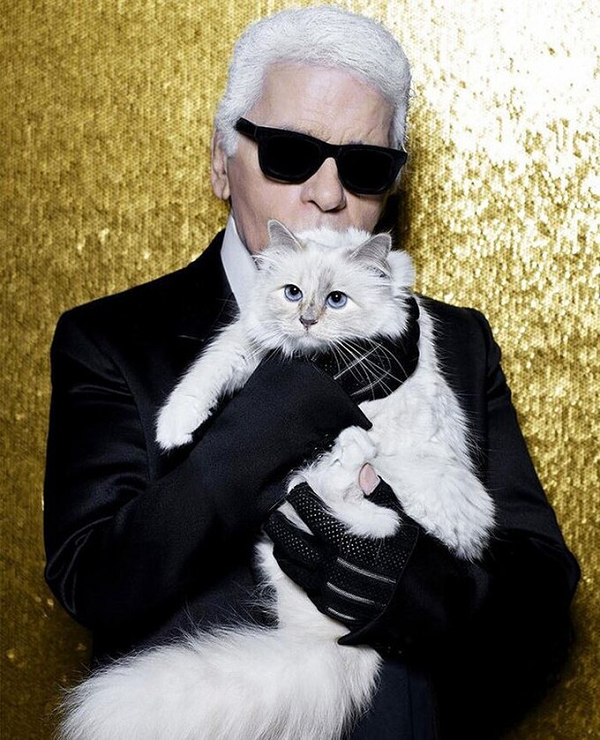 Mèo Choupette là thú cưng của "bố già" Chanel - Karl Lagerfeld, sau khi nhà thiết kế tài năng này qua đời, ông vẫn đảm bảo cho mèo cưng của mình một cuộc sống sang chảnh bằng khối tài sản trị giá 200 triệu đô la.