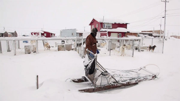 Chỉ có thể tiếp cận Utqiaġvik bằng máy bay bởi không có bất kỳ đường bộ nào có khả năng. Người dân nơi đây đã từng sử dụng xe kéo bằng chó để đi quanh thị trấn trước khi chúng được thay thế bằng xe trượt tuyết kể từ năm 1960.