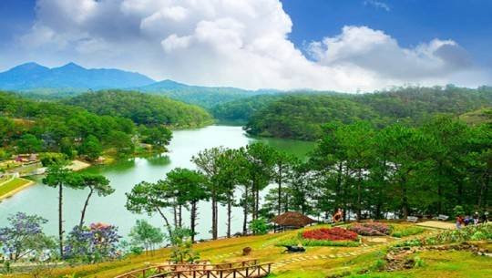 Cách gọi Dallas khi nhắc đến Đà Lạt đã nhiều lần khiến không ít du khách nước ngoài hiểu nhầm về địa danh của Việt Nam, gây ra không ít nhầm lẫn trên mạng xã hội. Mời quý độc giả đón xem thêm video: 101 sắc hoa Đà Lạt - Nguồn: KÊNH VTC1