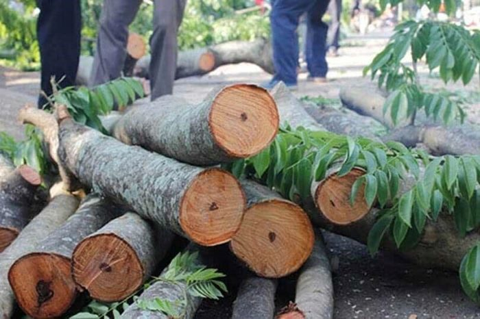 8. Ngọc am: Rất quý, được dùng từ xa xưa, có mùi thơm quyến rũ, thường dùng trong hoàng cung Trung Quốc, đứng ngang ngọc ngà về giá trị.