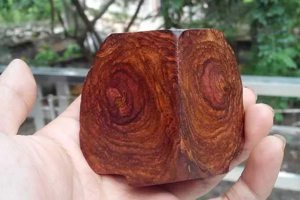 7. Gỗ sưa: Tỏa hương thơm khi đốt, có thể chưng cất thành tinh dầu, dùng trong y học, quý hiếm và bị khai thác quá mức.