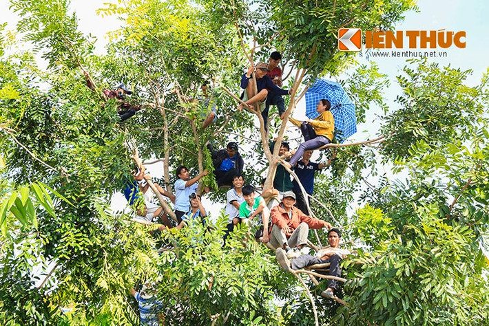 Để được xem tận mắt hung thủ Nguyễn Hải Dương và đồng bọn, nhiều người dân đã bất chấp nguy hiểm trèo lên các cây cao để theo dõi. Ảnh: Thiên Dũng.