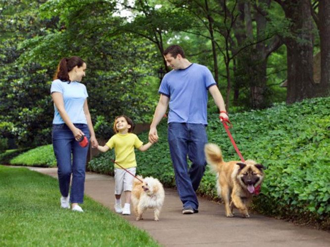 Đi dạo ngày sau ăn no: Sau khi ăn nếu tăng cường vận động sẽ ảnh hưởng đến khả năng tiêu hóa và hấp thu dinh dưỡng của cơ thể. Ảnh:baoxaydung.com.vn