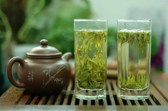 Người bị bệnh gút: Chất axit tannic trong trà không tốt cho tình trạng bệnh của bạn, nếu uống nhiều trà đặc biệt là trà đặc sẽ khiến bệnh thêm nặng hơn.