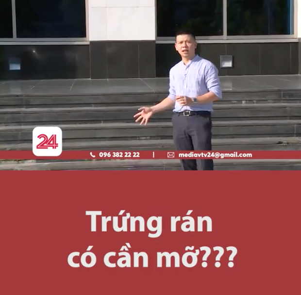 Một BTV VTV đã "đu trend" thả thính bằng câu nói "trứng rán cần mỡ/bắp cần bơ" của hot girl Thanh Tâm để nói đến vấn đề thời tiết nắng nóng đỉnh điểm. Ảnh: Tổng hợp