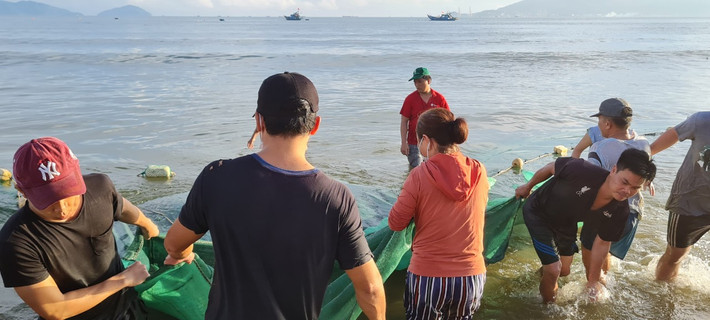 Các ngư dân cho biết, mỗi buổi kéo được khoảng hai mẻ lưới.