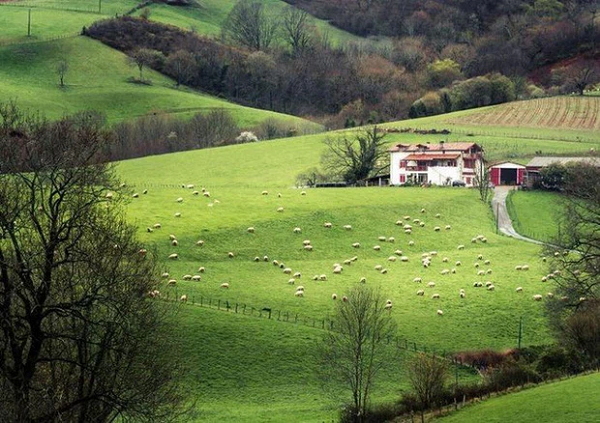 "Azpilicuetagaraycosaroyarenberecolarrea" là tên sân bay nằm ở Azpilkueta, Navarra, Tây Ban Nha. Địa điểm này được đặt tên theo ngôn ngữ Basque.