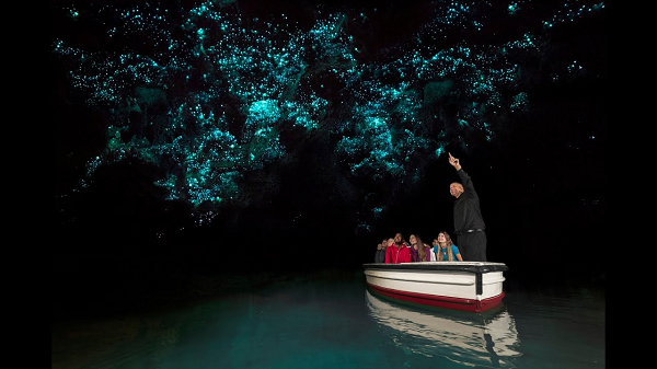 Hang động đom đóm Waitomo tại New Zealand hấp dẫn du khách nhờ số lượng lớn đom đóm sống tại đây. Những con đom đóm có tên khoa học Arachnocampa luminosa khi phát quang sẽ tạo ra ánh sáng màu xanh lá cây pha lẫn xanh dương đặc biệt.