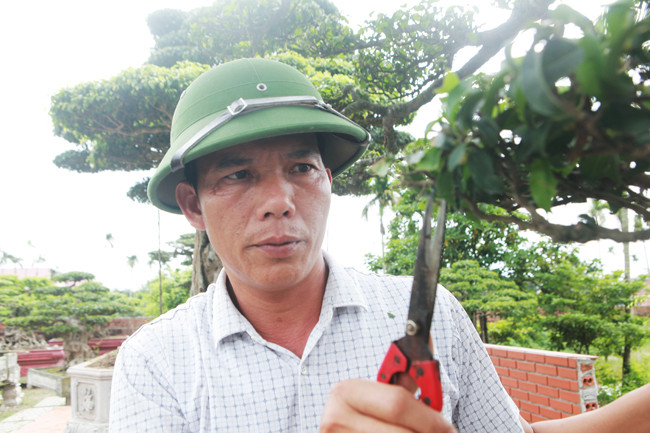 "Trước tôi là thanh niên làm ruộng, làm công nhân rồi buôn bán thức ăn gia súc. Bây giờ tôi chỉ chuyên tâm vào làm cây”, anh Hùng cho biết.