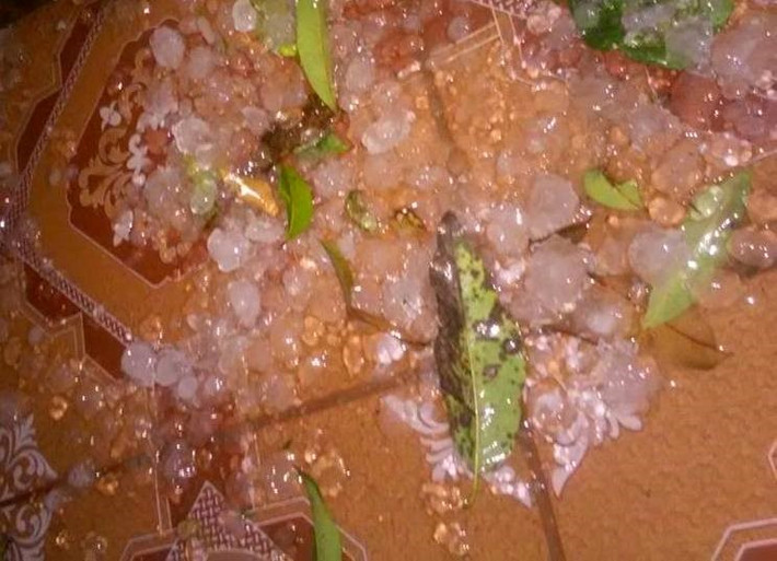 Theo người dân, cơn mưa đá hiếm có kéo dài trong vòng hơn 30 phút. Khi mưa ngớt, họ nhìn thấy những viên đá to bằng ngón chân cái, thậm chí lớn hơn nằm ngổn ngang khắp nơi. Ảnh: L.D. Ảnh: Zingnews.