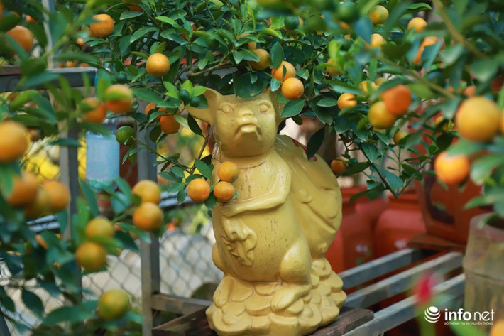 Những chậu cây hình con chuột có nhiều màu sắc khác nhau nhằm đáp ứng nhu cầu đa dạng của các khách hàng.