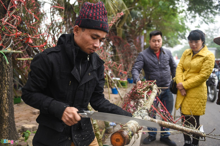 Đào rừng trong dịp Tết Nguyên Đán năm nay cũng là mặt hàng đang được ưa chuộng. Giá đào rừng cũng không hề rẻ, luôn ở mức vài triệu đồng mỗi cành. Cành đào đang được cưa bớt, chuẩn bị bán đi này có giá 5 triệu đồng.