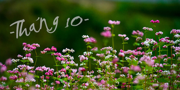 Tháng 10: Họ là những người sống thiên về cảm xúc, nhảy cảm, mơ mộng và rất kén chọn. Người sinh tháng 10 không giỏi trong việc đưa ra quyết định cho bản thân. Tuy nhiên, họ có khả năng phân tích tốt nên có thể giúp người khác có lựa chọn xuất sắc. Ngoài ra, họ còn có khả năng linh hội nghệ thuật tốt, đặc biệt là văn học và âm nhạc. Người sinh tháng 10 thường coi trong tình cảm bạn bè. Họ sẽ xắn tay lên giúp đỡ người khác mà không nề hà bất cứ điều gì.