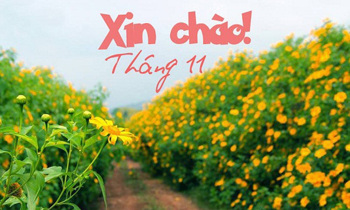 Tháng 11: Là những người sống khép kín, không thích mở lòng với người khác, người sinh tháng 11 chỉ trao niềm tin cho những ai mà họ đã biết rõ. Họ cũng có bản tinh đa nghi, ghét cảm giác thua kém người khác. Trời sinh những người này có đầu óc thông minh, sáng tạo. Tuy ít nói nhưng họ không phải là những người "hiền như bụt". Khi nổi cơn thịnh nổ, họ sẽ trở nên rất đáng sợ.