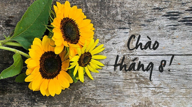 Tháng 8: Người sinh tháng 8 có tác phong lãnh đạo, luôn dũng cảm đương đầu với mọi việc, là người đáng tin cậy. Họ còn có khả năng làm việc độc lập. Bên cạnh đó, người sinh tháng 8 rất lãng mạn, yêu cuồng nhiệt và cực kỳ thủy chung. Khi đã bắt tay vào làm việc gì đó, họ sẽ đặt hết tâm trí của mình vào nó và không để người khác đánh giá thấp sản phẩm của mình. Họ tỉ mỉ làm việc nhằm hướng tới sự hoàn hảo. Nhưng một khi bị ép làm những điều mà bản thân không thích, họ sẽ làm một cách qua loa và lười biếng.
