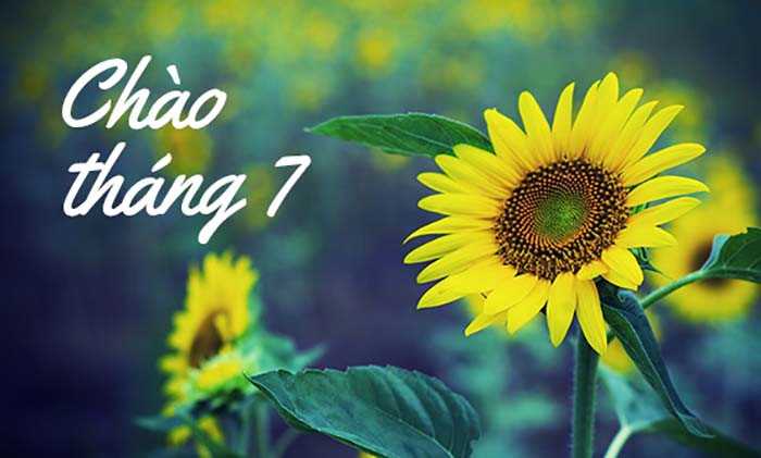 Tháng 7: Đây là tuýp người sống thật với bản chất của mình do đó cảm xúc của họ lên xuống thất thường, không thể đoán trước được. Họ sẵn sàng trở thành người đanh đá, gai góc nếu ai đó làm tổn thương sự tự trọng của họ. Tuy có lòng vị tha nhưng người sinh tháng 7 lại khó quên đi những lỗi lầm mà người khác gây ra cho mình. Do đó, họ thường được xếp vào kiểu người sống nội tâm, thích sự an nhiên, không phung phí thời gian vào những thứ vô nghĩa.