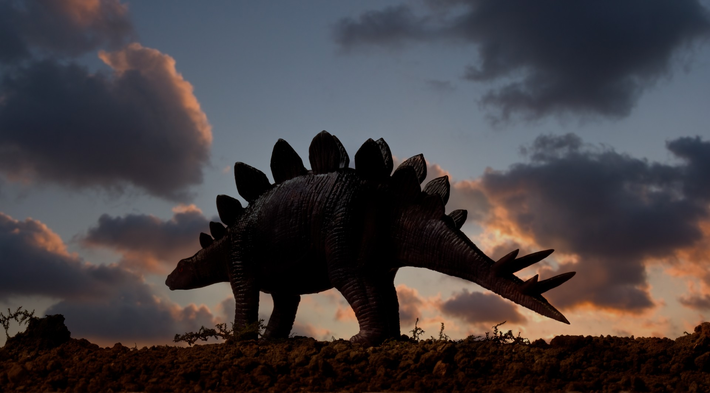 Stegosaurus có chiều dài khoảng 9 mét và nặng khoảng 5 tấn. Đặc điểm nổi bật nhất của nó là các phiến sừng lớn chạy dọc theo lưng, có thể cao tới 60 cm. Những phiến sừng này không chỉ giúp bảo vệ Stegosaurus khỏi kẻ thù mà còn có thể được sử dụng để điều chỉnh nhiệt độ cơ thể.(Ảnh: BBC Science Focus)