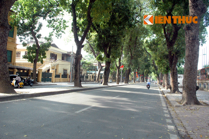 Đường Hoàng Diệu vắng tanh.