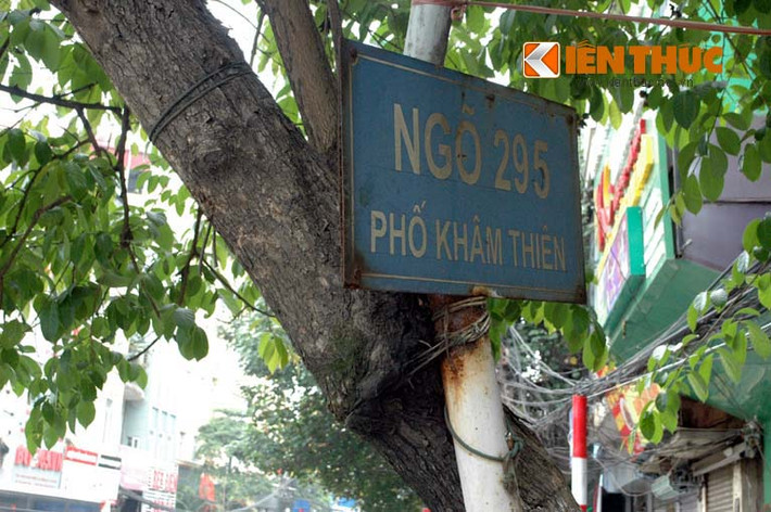 Cột biển tên ngõ hỏng, người dân lấy dây sắt cột vào thân cây đang phát triển. Lâu ngày, dây sắt ăn ngập vào thân, như sắp cứa đứt cổ cơ thể sống tội nghiệp này.