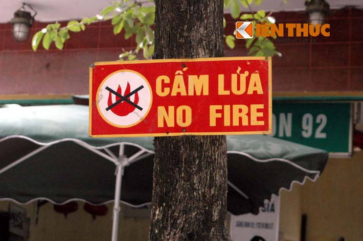 Trước cây xăng ở phố Khâm Thiên, tấm biển cấm lửa được đóng đinh vào thân cây. Cây sống bị đối xử như cột gỗ chết.