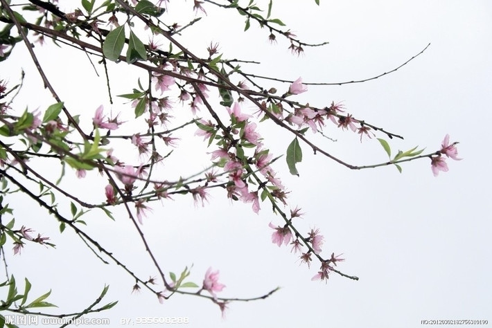 Gần đây bạn thường xuyên gặp xui xẻo hoặc hay mất ngủ, có thể bạn đang gặp phải “ách khí” gây ảnh hưởng đến từ trường phong thủy tự thân của bạn. Hãy tham khảo một số cách hóa giải vận đen sau đây.
